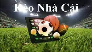 Các loại kèo nhà cái tại i9bet