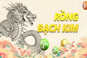 Cách sử dụng Soi Cầu Rồng Bạch Kim tại i9bet